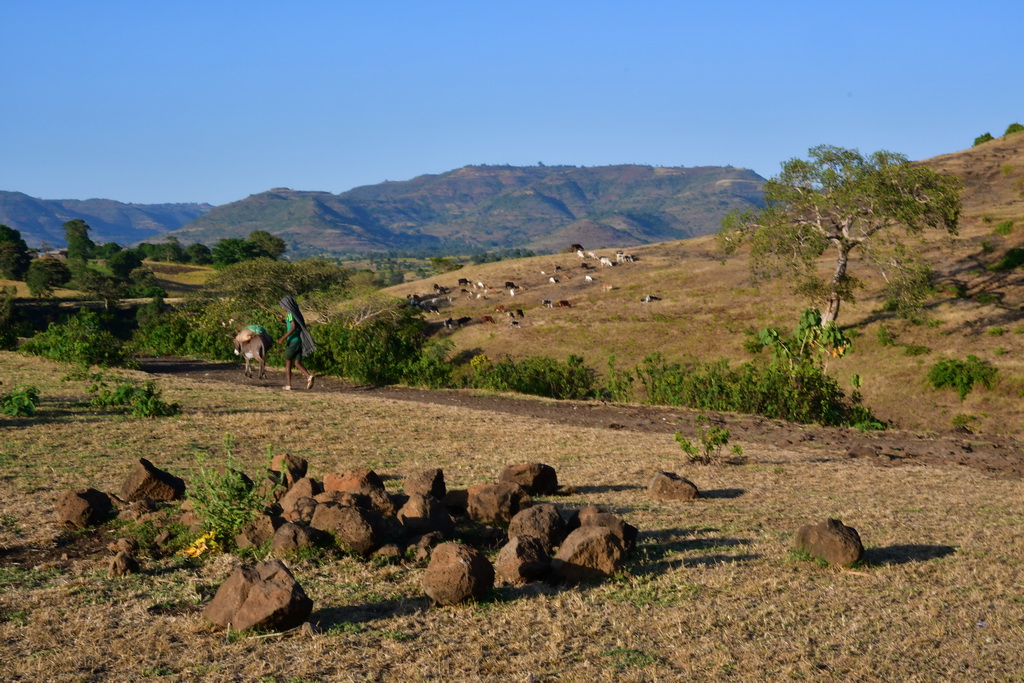 Bahir Dar Region